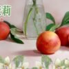 LEON小油